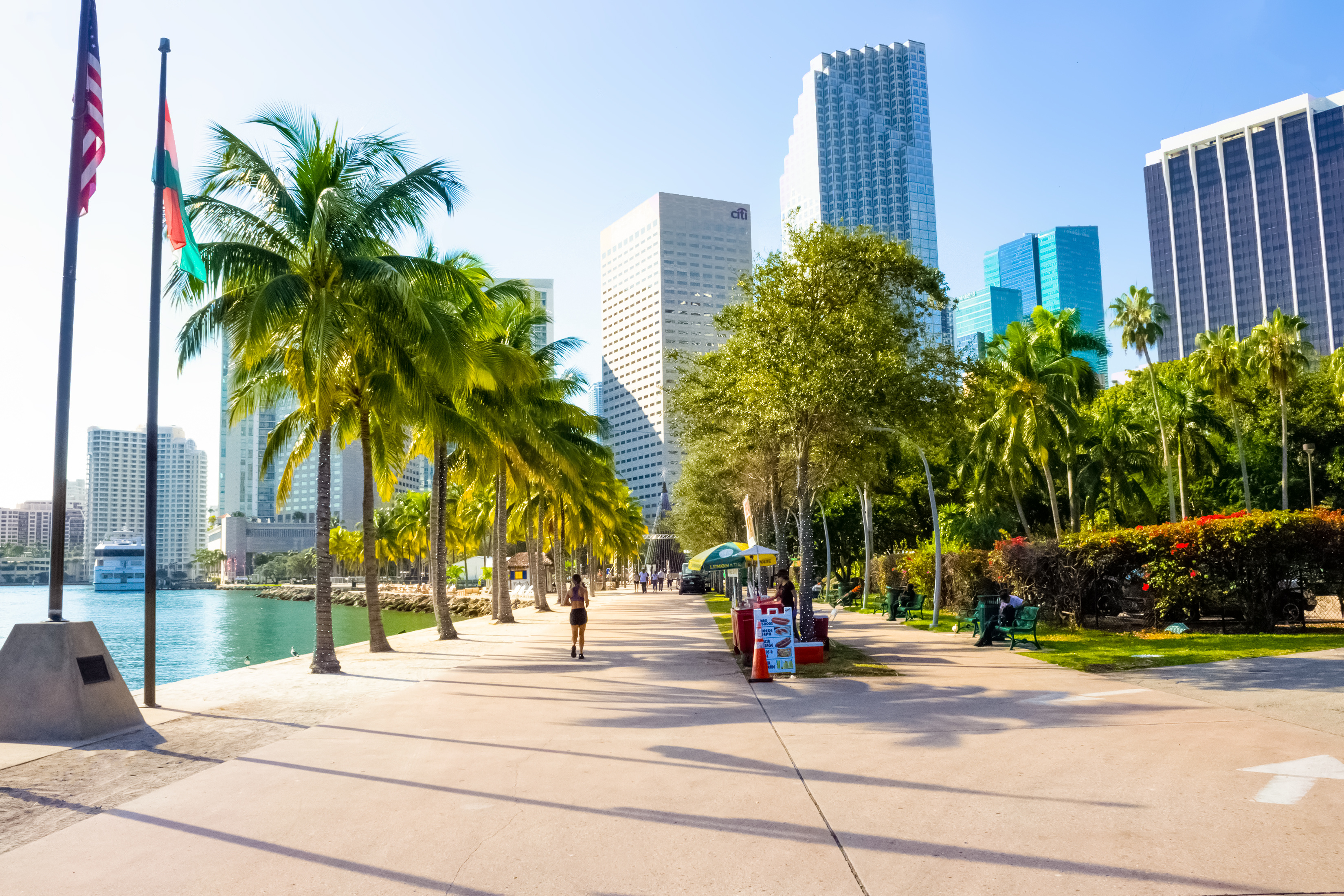 Miami River placeholder